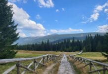 Korona Gór Polski: przygoda, która zaczyna się na pierwszym szlaku